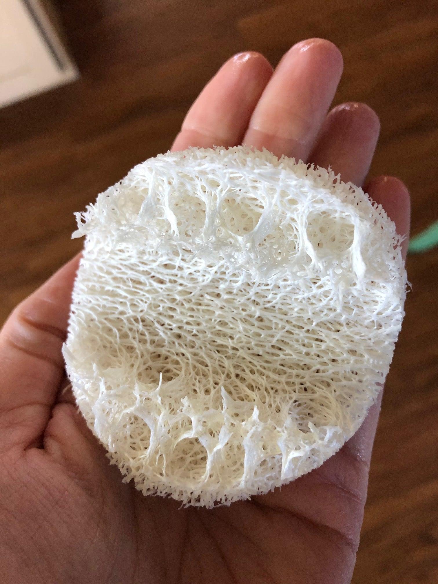 Loofah Complexion Exfoliating Disc - Pharmacist Made