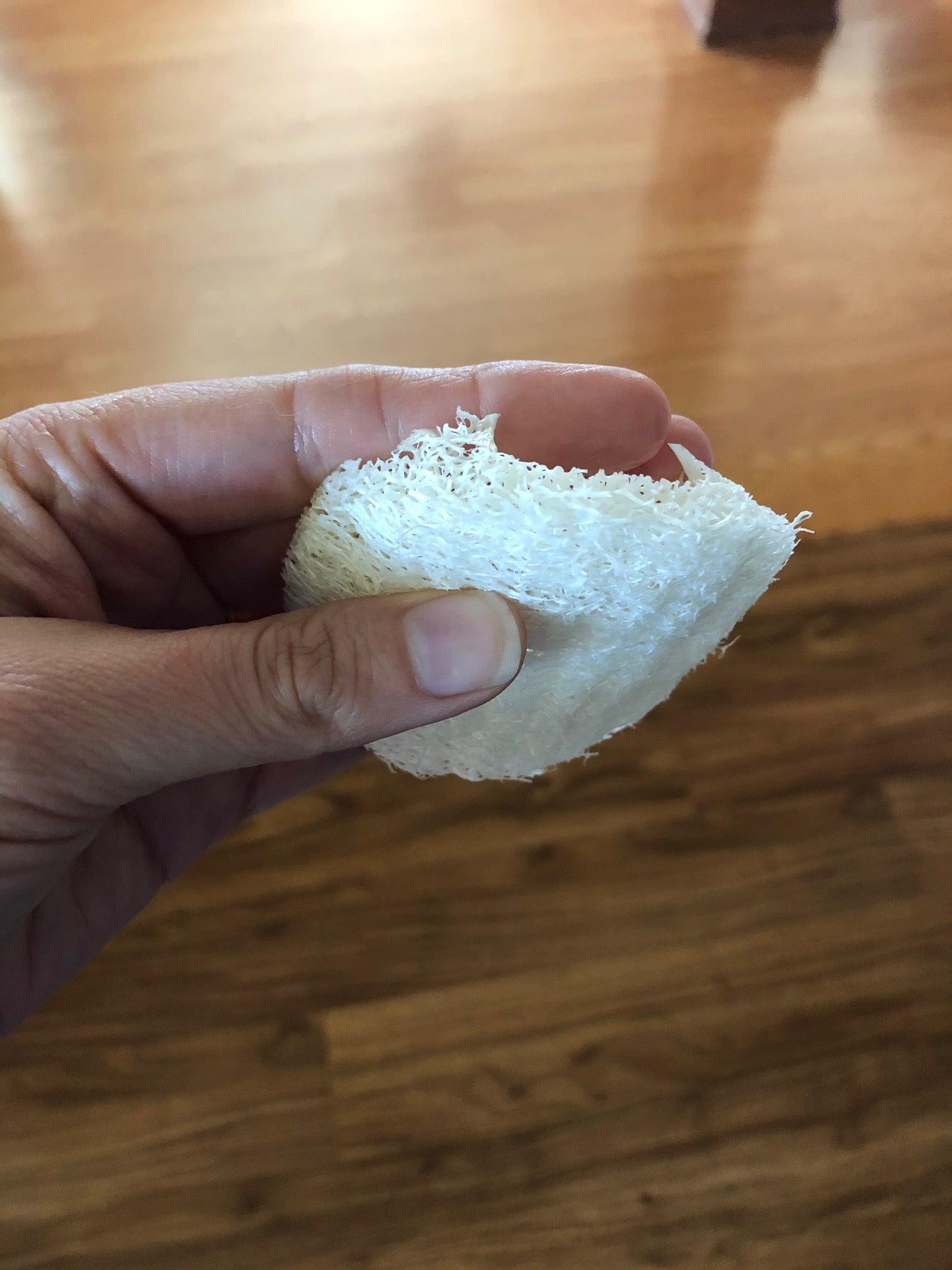 Loofah Complexion Exfoliating Disc - Pharmacist Made